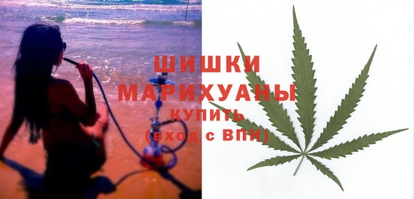 шишки Алексин
