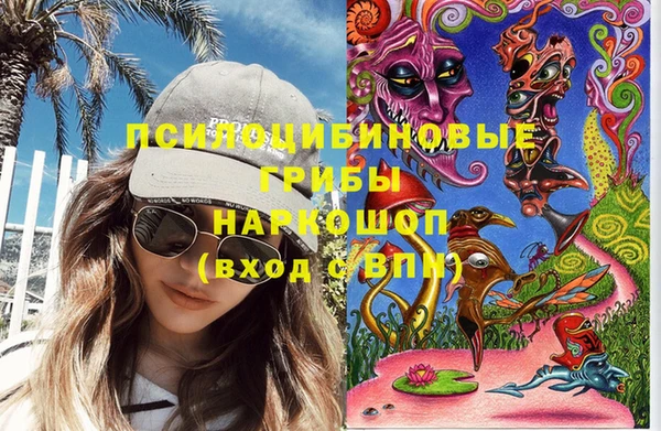 шишки Алексин
