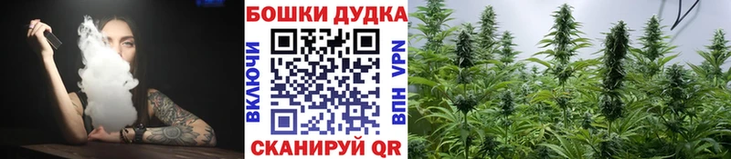 Шишки марихуана гибрид  Николаевск 